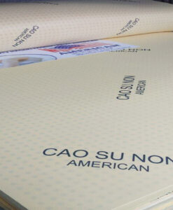 nệm cao su non american